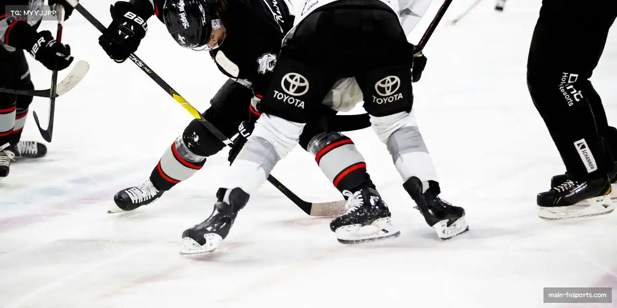 蜂鸟网🌟 从历史到当下，见证体育精神永恒